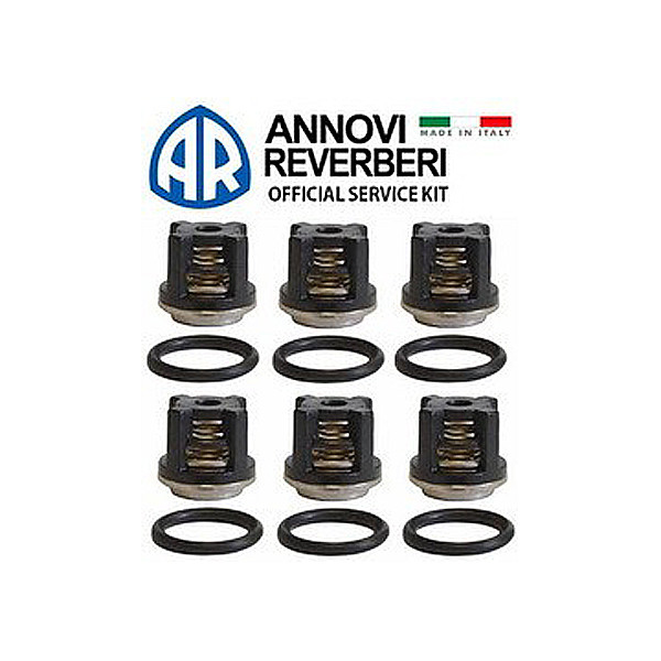 ANNOVI REVERBERI KIT 2864, комплект клапанов, 6 шт, для RR