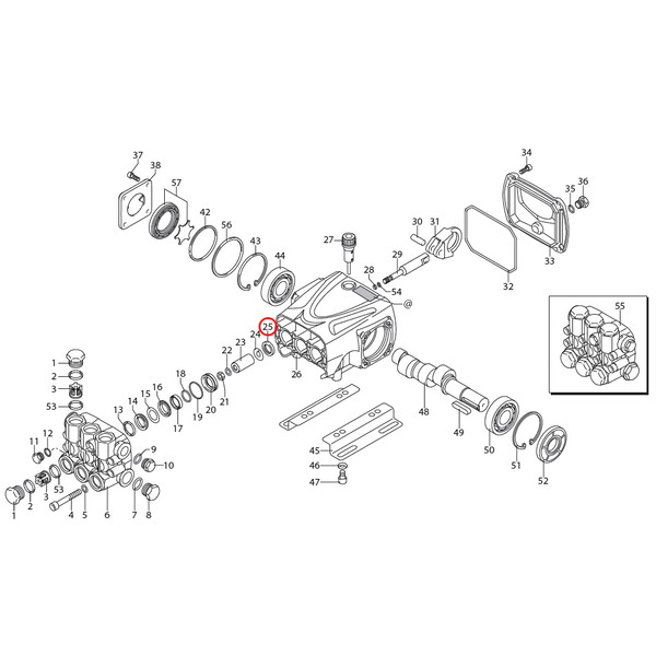 ANNOVI REVERBERI 1260460, масляный сальник штока плунжера, 3 шт, ТехУм