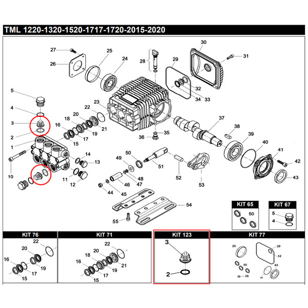 BERTOLINI KIT123, комплект клапанов, 6 шт, для TML, TM, RAL, RB, ТехУм